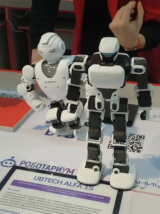 photo_2026-02-06_21-42-42