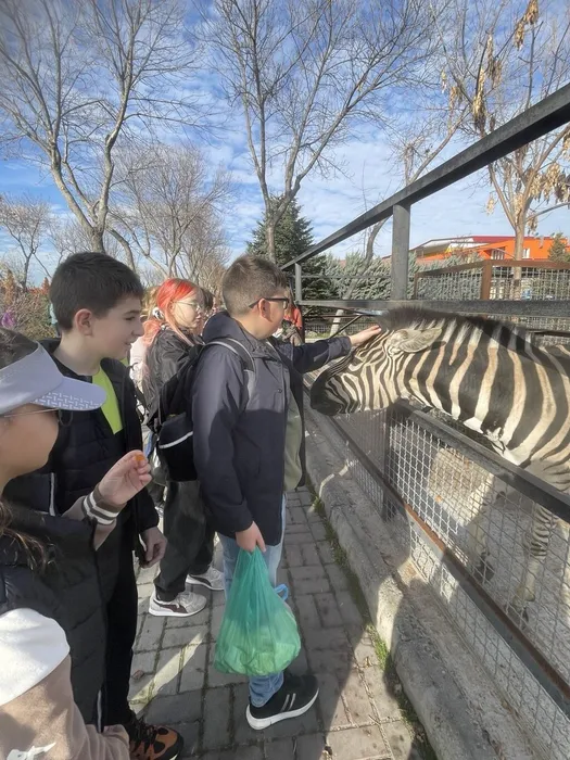 -5235571675519193312_121